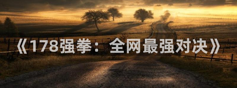 《178强拳：全网最强对决》