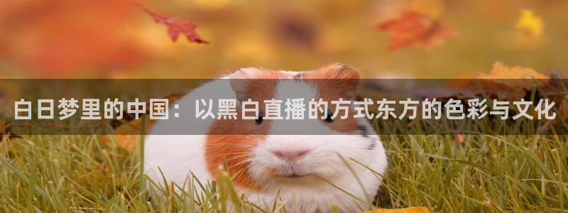 白日梦里的中国：以黑白直播的方式东方的色彩与文化