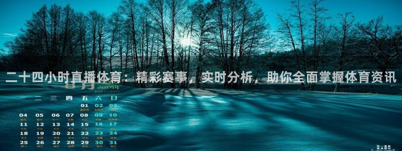 二十四小时直播体育：精彩赛事，实时分析，助你全面掌握体育资讯